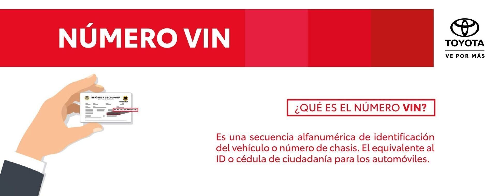 Infografía VIN 2