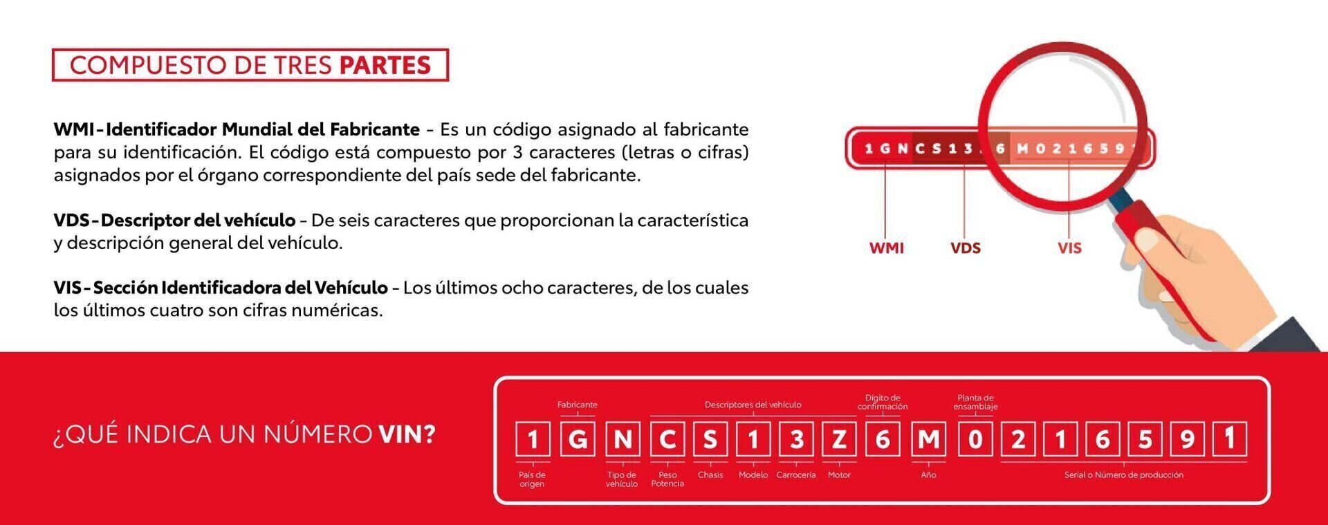 Infografía VIN 3